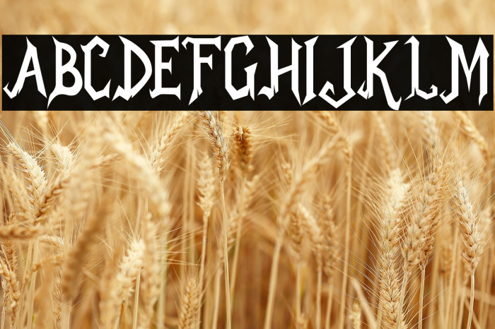 Mr.Draculle Example 3