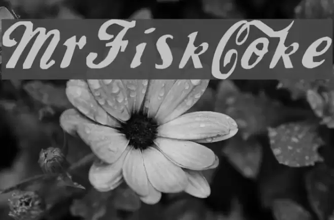 MrFisk-Coke Polices examples