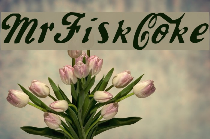 MrFisk-Coke Font examples