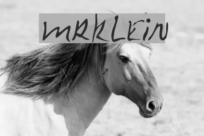MrKlein Example 2