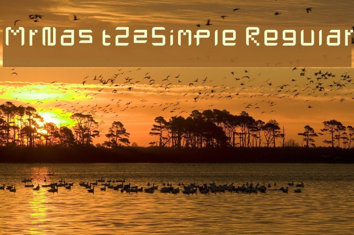 MrNastZzSimple Regular Font examples