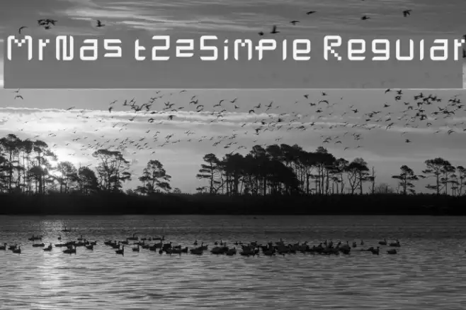 MrNastZzSimple Regular Example 3