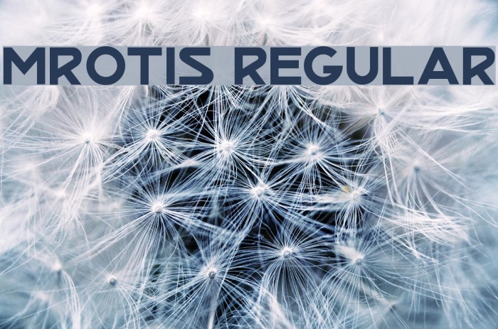 MrOtis Regular Font examples