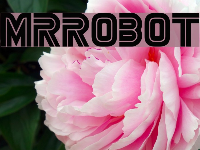 mrrobot字体