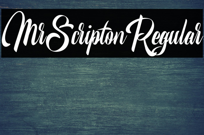 MrScriptonRegular Example 1