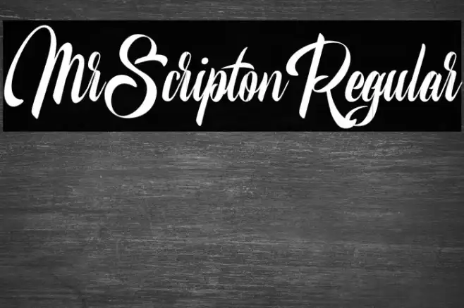 MrScriptonRegular Example 1