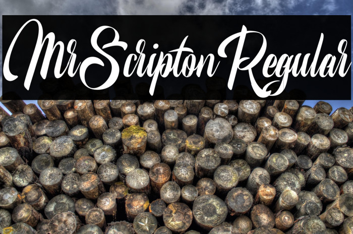 MrScriptonRegular Example 2