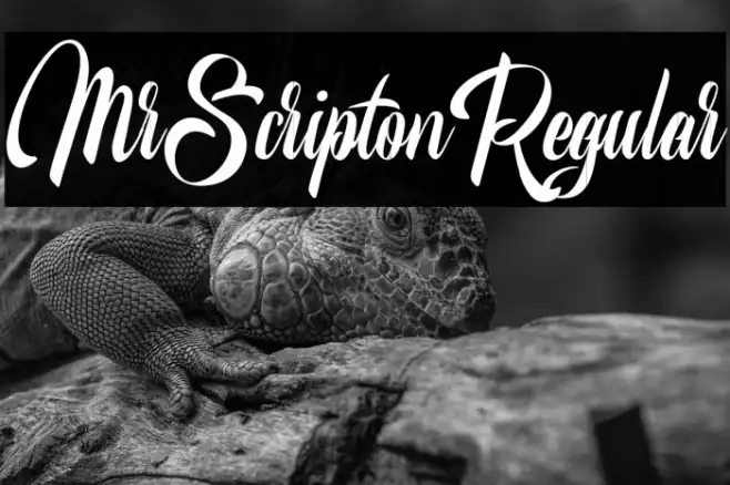 MrScriptonRegular Example 3