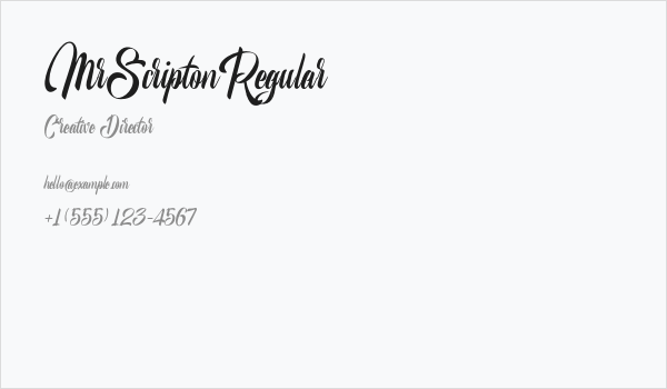 MrScriptonRegular Business Card