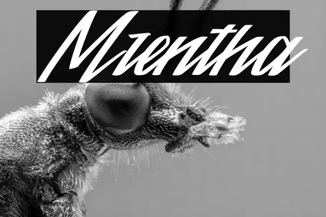 Mrentha Example 1