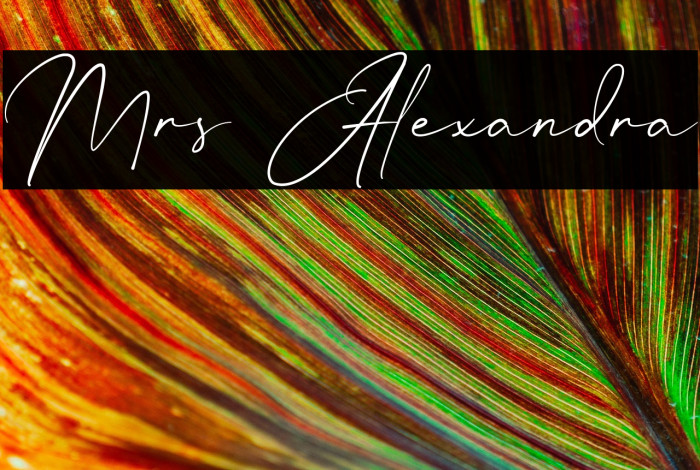 Mrs Alexandra Example 2