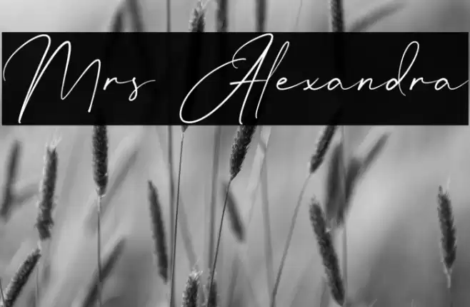 Mrs Alexandra Schriftart examples