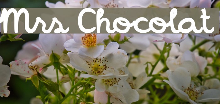 Mrs Chocolat Example 1