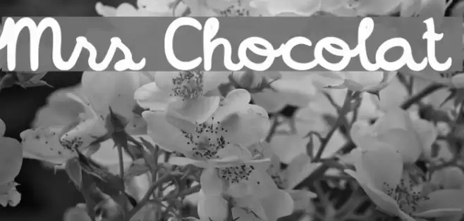 Mrs Chocolat Font examples