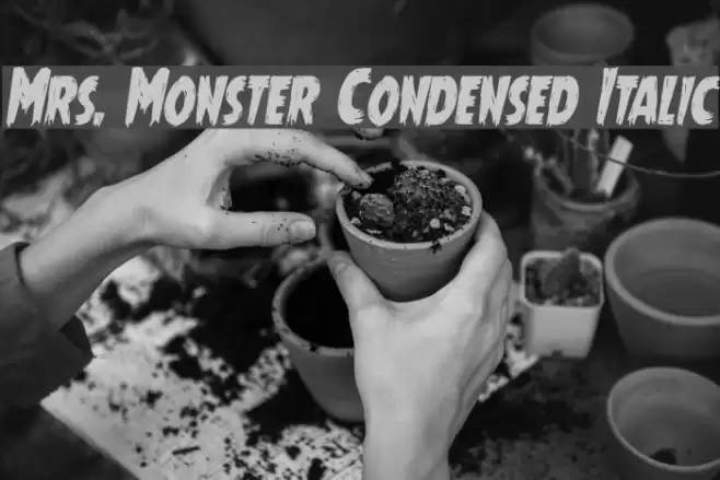 Mrs. Monster Condensed Italic Font examples