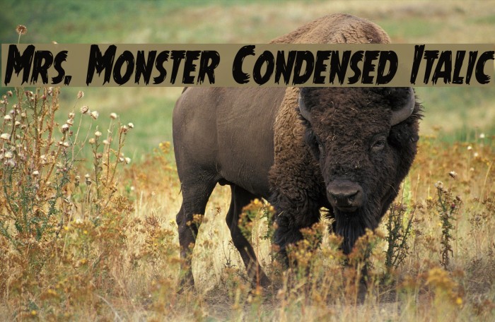 Mrs. Monster Condensed Italic Font examples