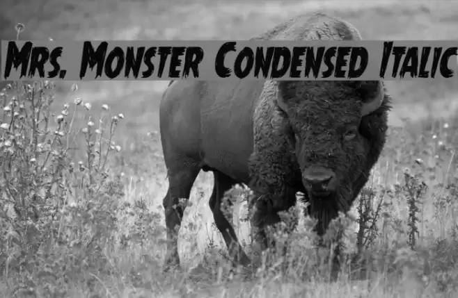 Mrs. Monster Condensed Italic Font examples