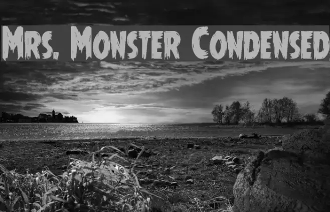 Mrs. Monster Condensed Example 2