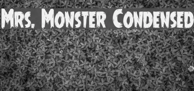 Mrs. Monster Condensed Example 3