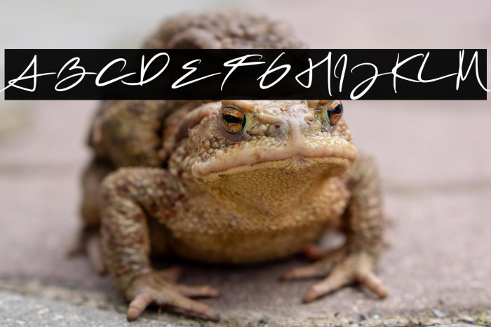 Mrs. Santhi Demo Version Example 2