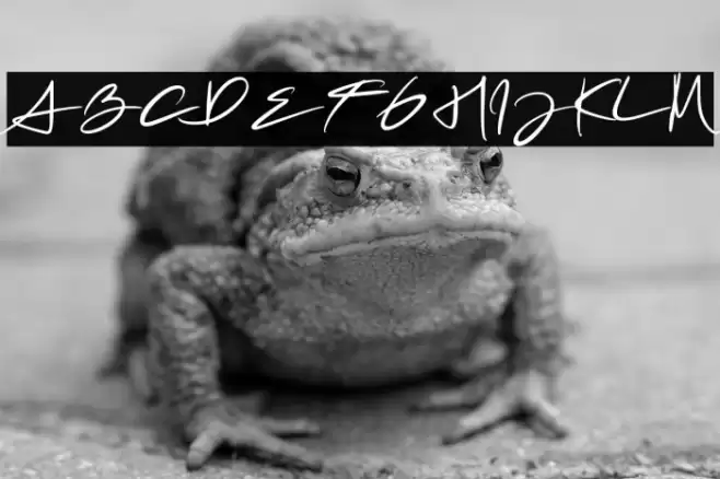 Mrs. Santhi Demo Version Font examples