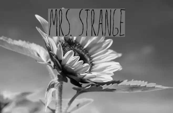 Mrs. Strange Example 3