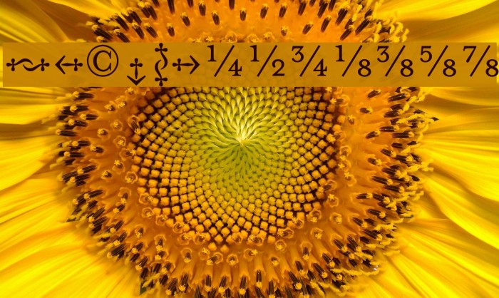 MrsEavesFractions Example 1