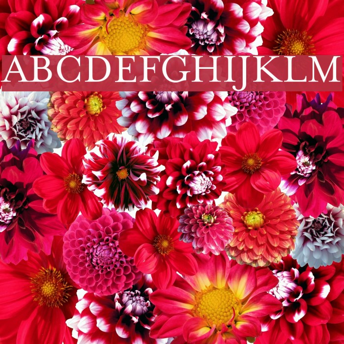 MrsEavesPetiteCaps Example 2