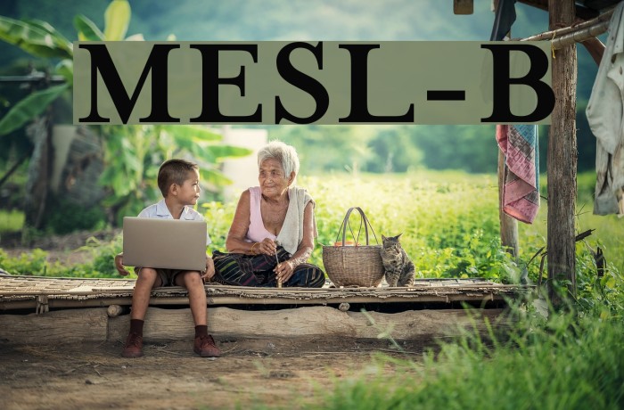 MrsEavesSmartLig-Bold Example 2