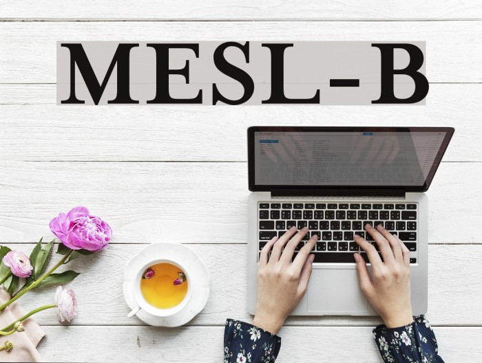 MrsEavesSmartLig-Bold Example 3