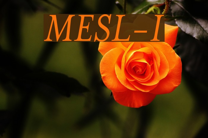 MrsEavesSmartLig-Italic Example 3