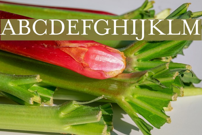 MrsEavesSmartLigRoman Example 1