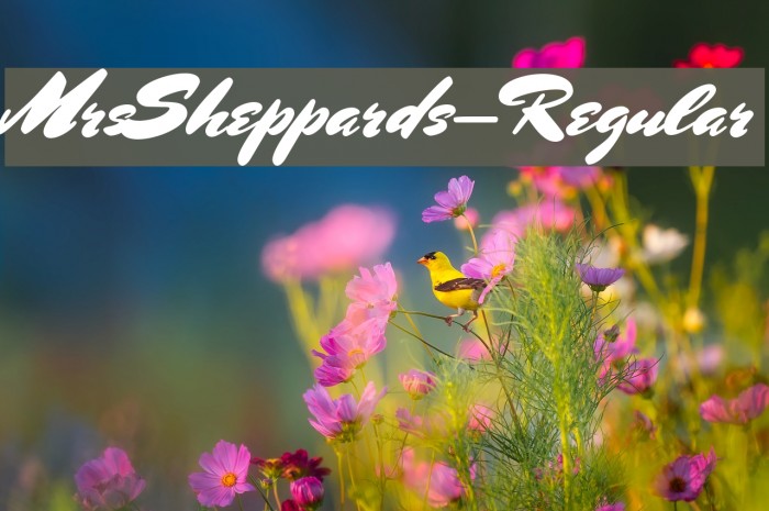 MrsSheppards-Regular Font examples