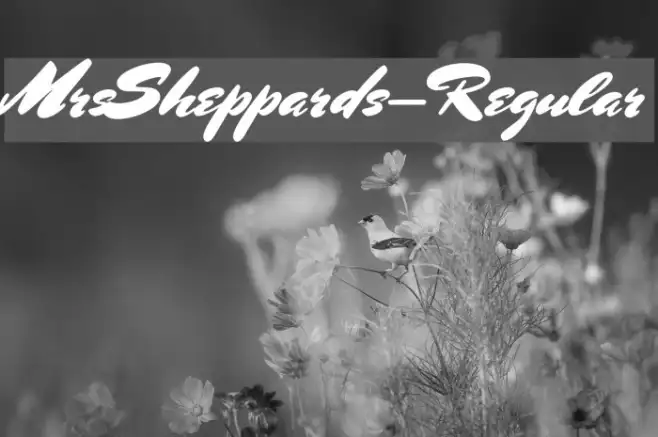 MrsSheppards-Regular Example 3