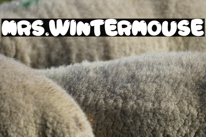 Mrs.Wintermouse Example 2