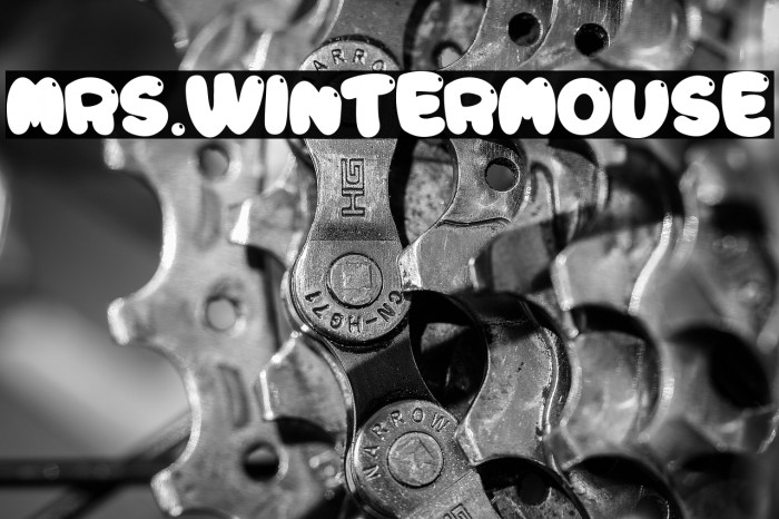 Mrs.Wintermouse Example 3