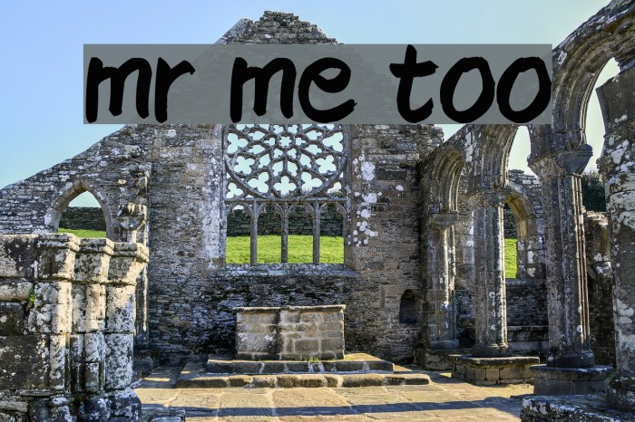 mr me too Font examples