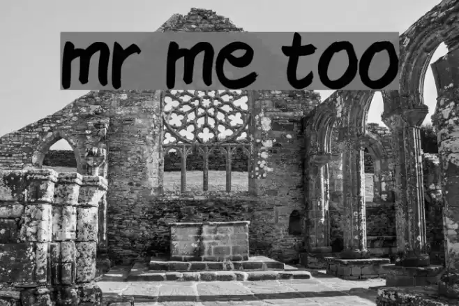 mr me too Font examples