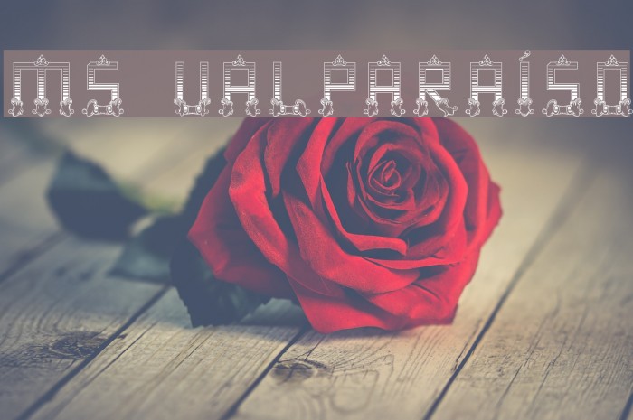 MS Valparaíso Font examples