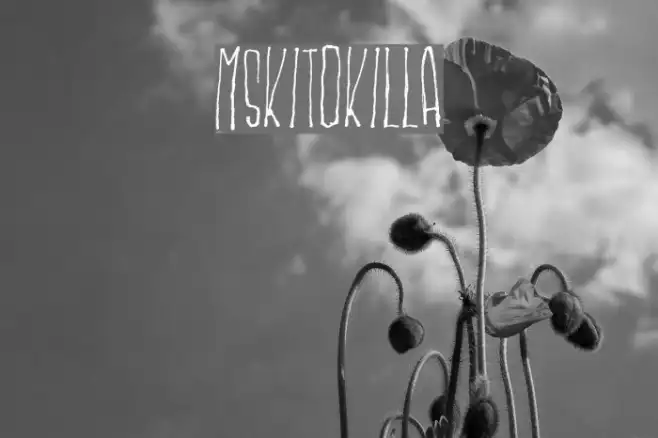 MSKITOKILLA Example 1