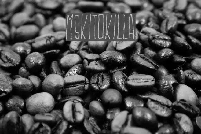 MSKITOKILLA Example 3