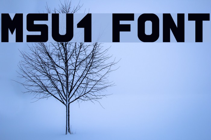 MSU1 Font examples
