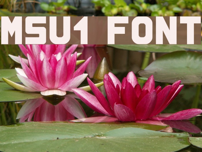 MSU1 Font examples