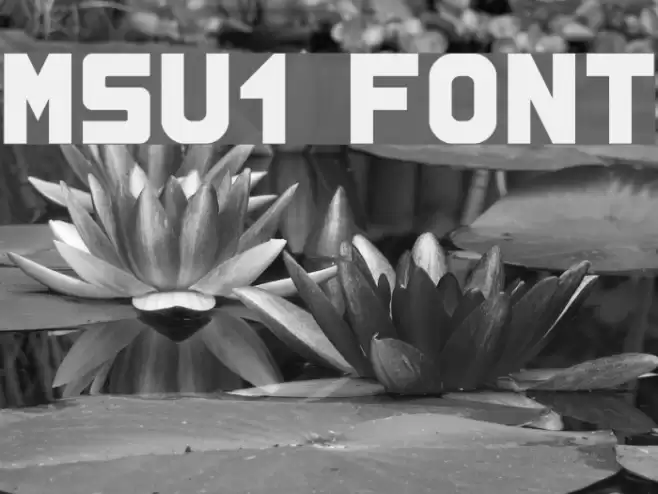 MSU1 Font examples
