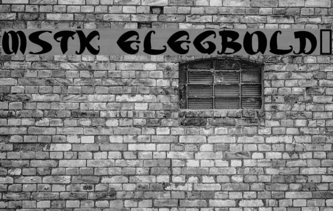 MStK ELEGBold1 Example 1