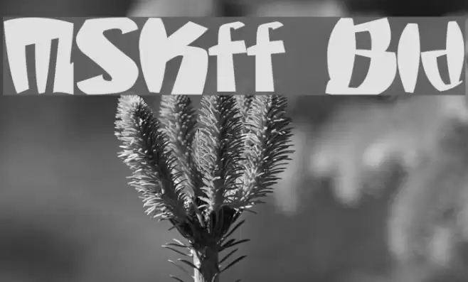 MStKrufruf Bold Font examples