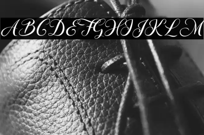 MsStusi Font examples