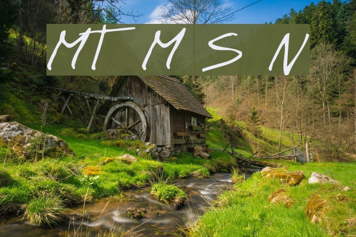 MT Matto Script Normal Font examples