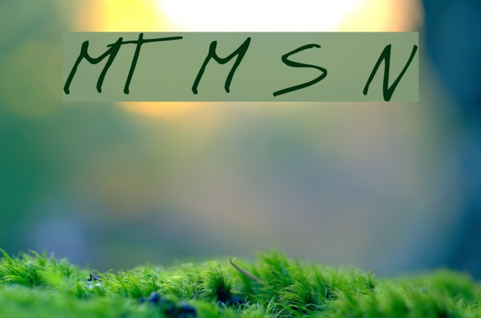 MT Matto Script Normal Font examples