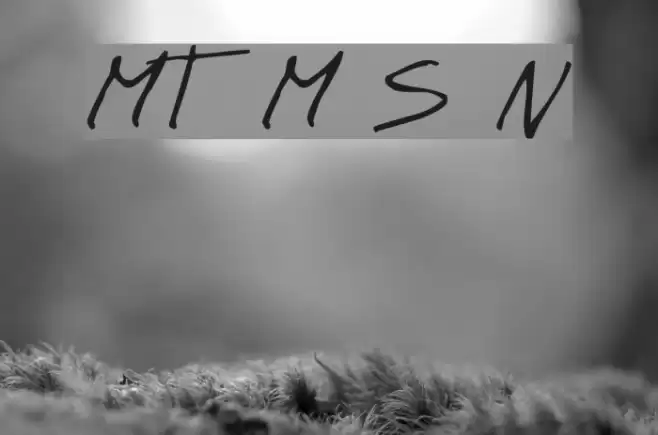 MT Matto Script Normal Schriftart examples